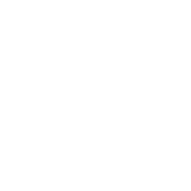 NET IQ